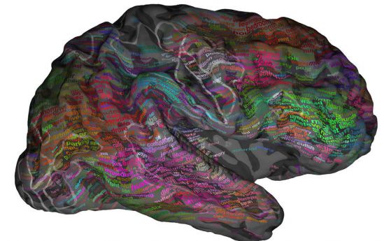 Създадена е карта на областите в мозъка, които отговарят за определени думи (видео)