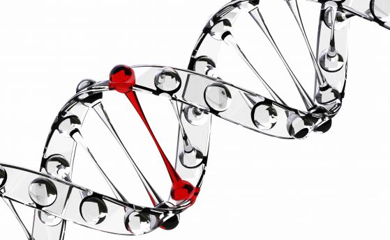 В нашето ДНК се крие непокътнат древен вирус