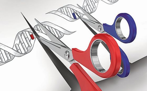 11 чудеса на метода за генно редактиране CRISPR