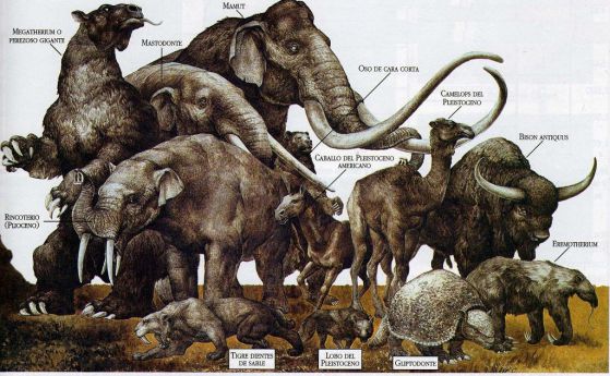 Как липсата на месо през ледниковия период е убила неандерталците