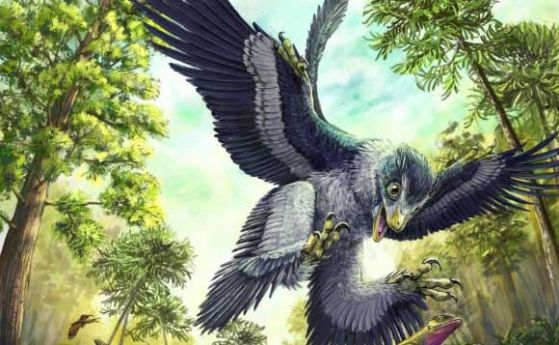 Защо от всички динозаври оцеляха само птиците
