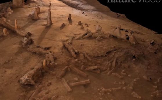 Загадъчни кръгове, направени от неандерталци, са намерени във френска пещера (видео)