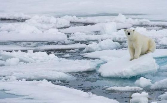 Арктика може да загуби леда си за първи път през последните 100 000 години (видео)