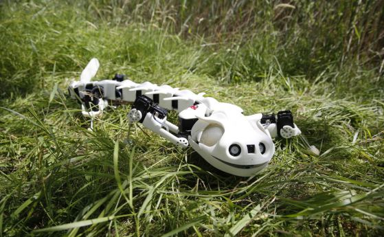 Учени разработиха робот-саламандър (видео)