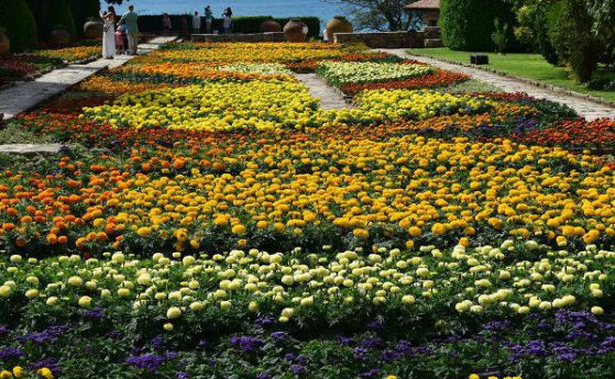 Университетската ботаническа градина в Балчик навърши 61 години