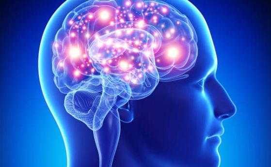 Различията в мозъчната активност може да определят колко сте умни