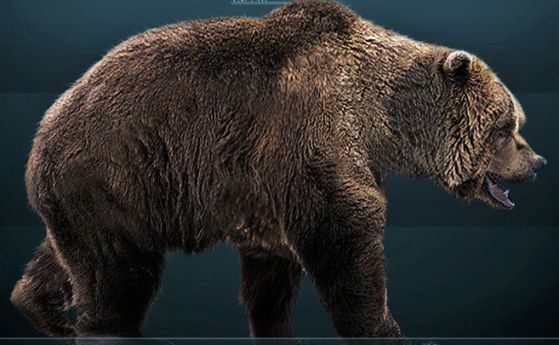 Вегетарианството погуби пещерните мечки