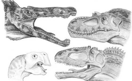 Загадка: Само големите динозаври имат рога и гребени