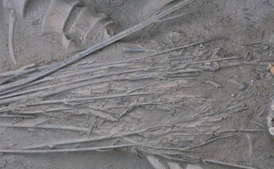 В Китай намериха древен скелет в "саван" от канабис 