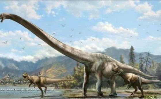 Останките от най-големия бразилски динозавър 60 години са били в склада