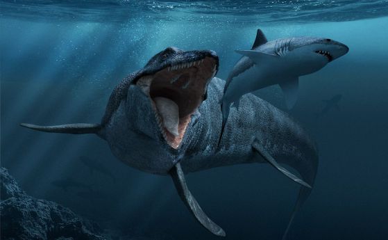 Откриха доказателства за древна битка между подводни чудовища