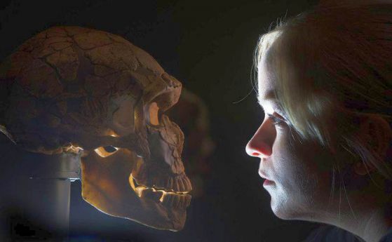 Хората са се изчистили от неандерталските си гени