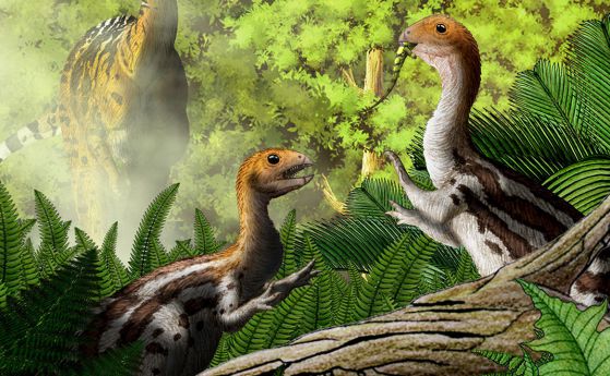 Скелети на малки динозаври обясняват защо птиците са без зъби 