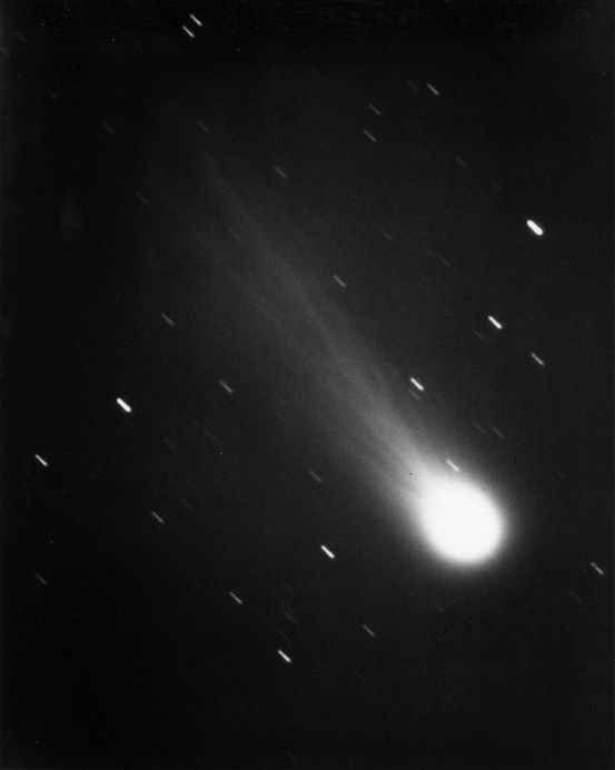 Халеевата комета, 1910