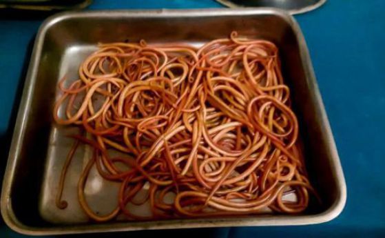 Това не са спагети: странният случай на Неха Бегум