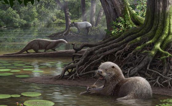 Чудовищни видри са бродели по земята преди 6 милиона години