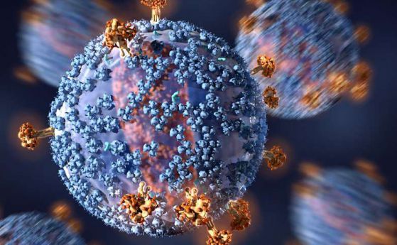 Пациент с уникални антитела помага на учените разработят ваксина срещу ХИВ