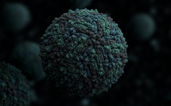 Учени обясняват способностите на вируса Зика да заразява ембрионите