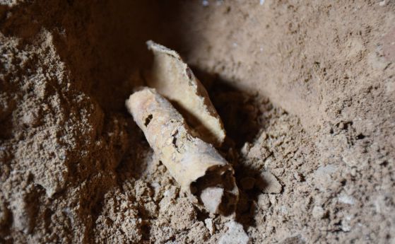Открита е нова пещера, но с откраднати свитъци, край Мъртво море