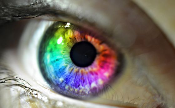 Как се появява цветното зрение при хората