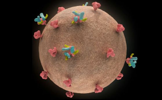 5 пациента с ХИВ са вече излекувани от вируса с ваксина (видео)