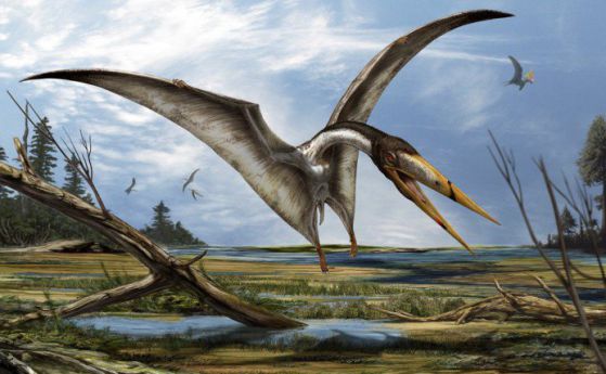 Пътят на динозаврите към небето: хаос и експерименти