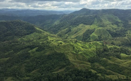 Уникални кадри от Изгубения град на бога-маймуна в Хондурас (видео, галерия)
