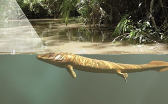 Зрението, а не крайниците, са довели рибите на сушата преди 385 милиона години (видео)