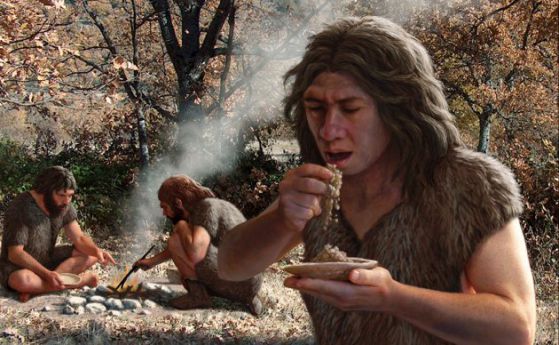 Неандерталците са използвали естествени антибиотици и аспирин