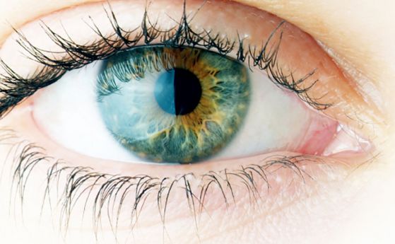 Нов хидрогел залепва ретината обратно към окото (видео)