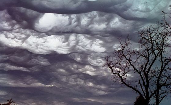 Необичаен вълнообразен облак бе признат за нов вид