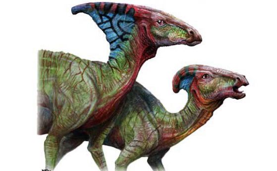 Динозавър или динозавърка? Половият диморфизъм при динозаврите е неясен