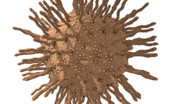 Най-големият вирус, открит досега, е намерен в австрийска пречиствателна станция 