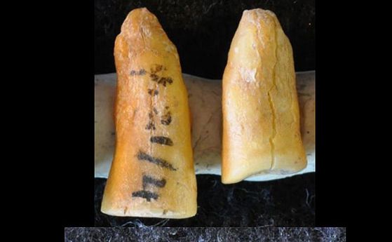 Археолози откриха зъбни пломби на 13 хиляди години
