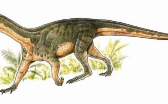 Предшественик на динозаврите е ходил като крокодил