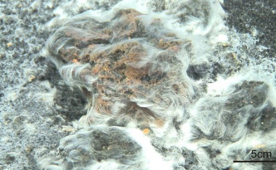 Странни нишки от микроби покриха вулкан скоро след изригването му