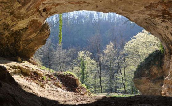 Извлечена е ДНК на древни хора за първи път от пещерни почви