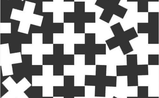 Черно или бяло: Оптична илюзия обърква мозъка ни