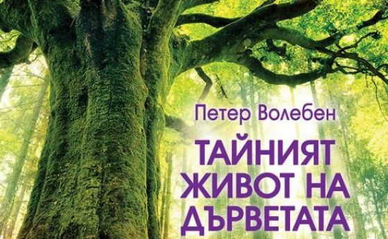 "Тайният живот на дърветата" - един бестселър на Петер Волебен