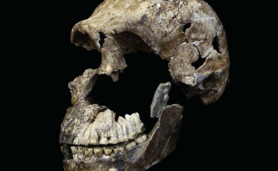 Ново откритие на древни човешки останки в пещера в Люлката на човечеството