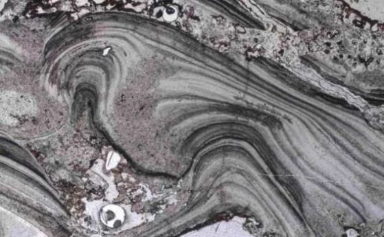 Най-старите следи от живот на Земята са в австралийски скали