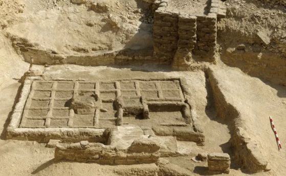 Уникално откритие на древна погребална градина в Египет (видео)