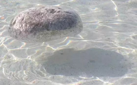 Мистерията на плаващите камъни в крайна сметка е решена от учените (видео)