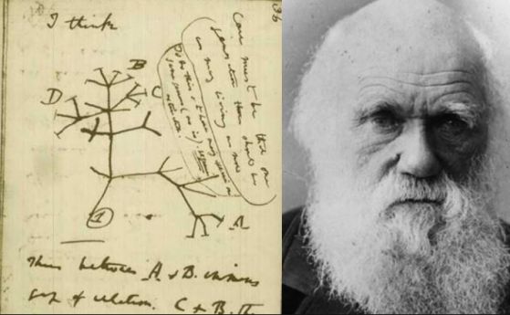 Еволюционното дърво на Дарвин трябва да стане многоизмерно