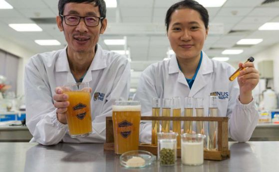 Учени произведоха първата в света бира с пробиотици