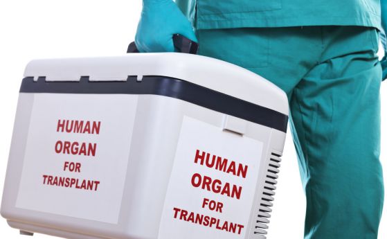 Стана ясно защо се отхвърлят трансплантираните органи (видео)