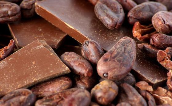 Шоколадът и какаото имат благоприятен ефект върху паметта