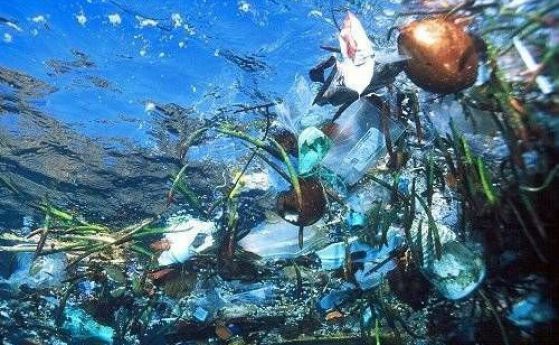 "Остров" от боклук с размерите на Мексико е открит в Тихи океан