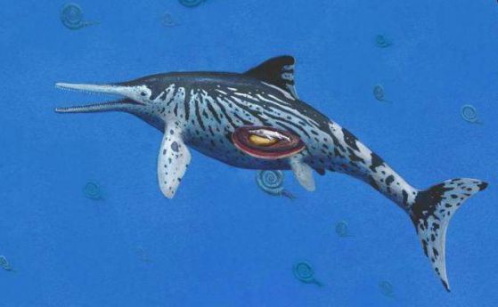 Един от най-големите документирани ихтиозаври е бременна самка (водео)