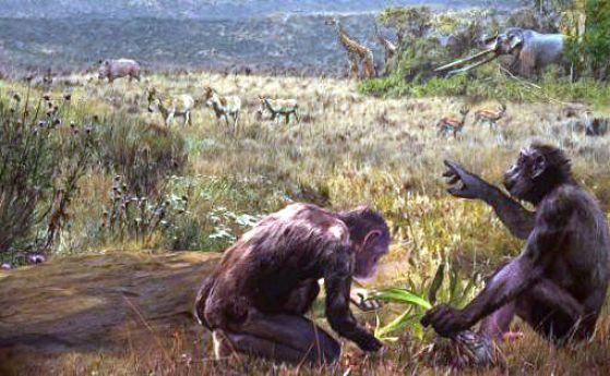 Проф Спасов: По нашите земи са живели първите предчовеци 